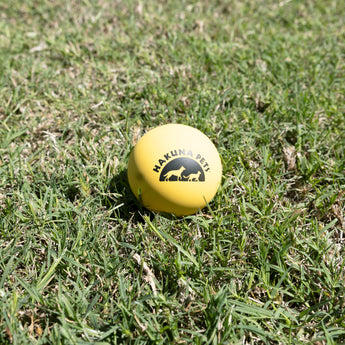 High Bounce Pet Ball - Yellow - Hakuna Pets