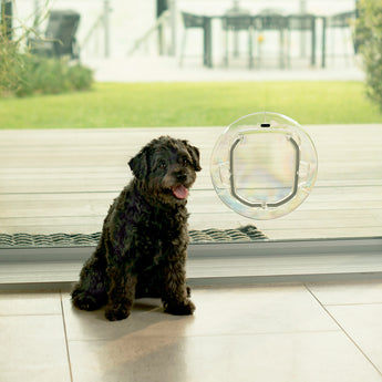 Ultra Clear Pet Door - S - Hakuna Pets