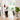 Superior Swing Pet Gate | Extra Wide & Extra Tall | 1.42m W x 0.91m H - White - Hakuna Pets