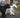10 Things You Should Know About Your Dog’s Bark