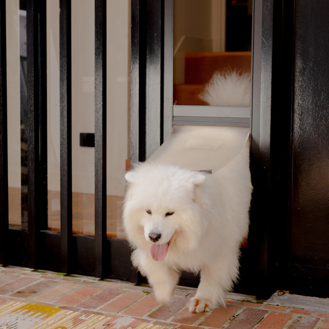 Patio Pet Doors