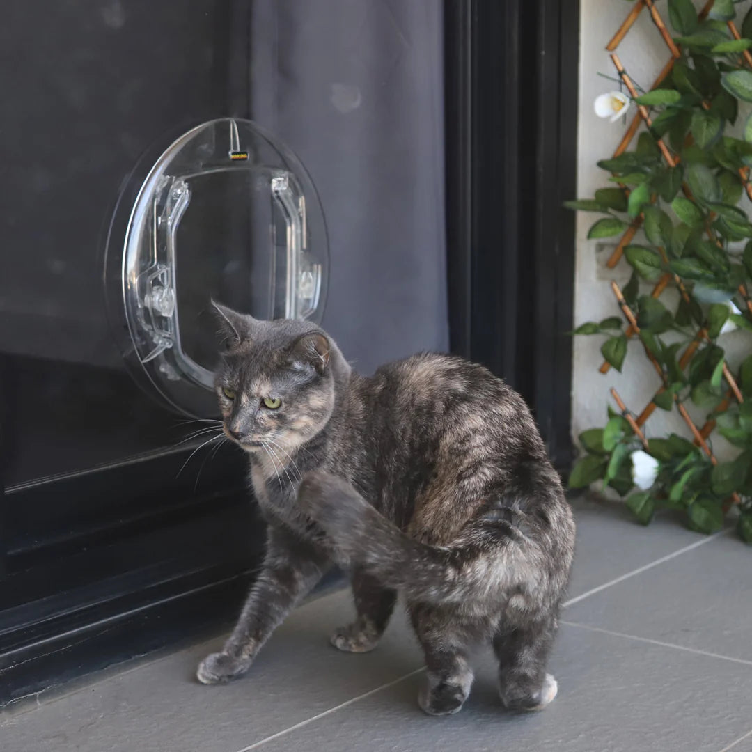 Ultra Clear Pet Doors