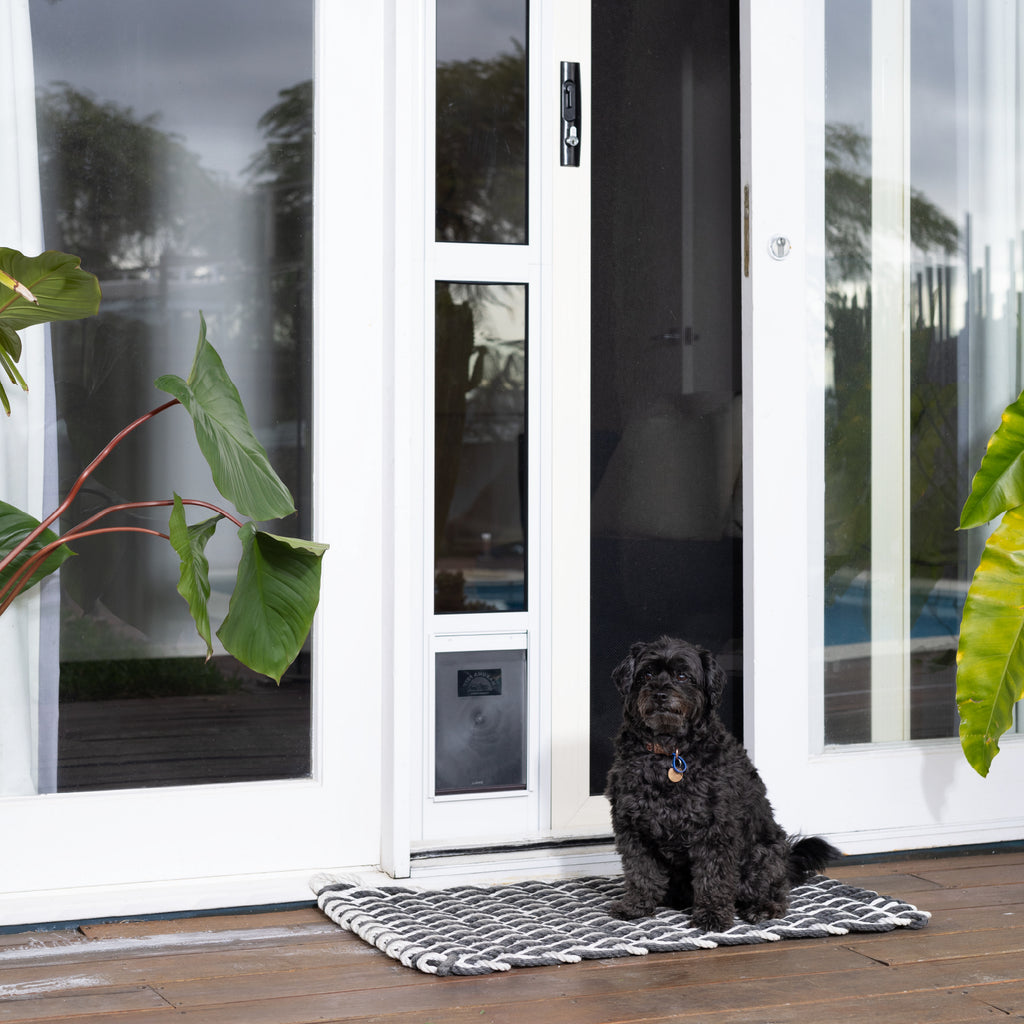 Sliding Glass Door Bunnings Dog Door Door For Petway Pet Doors