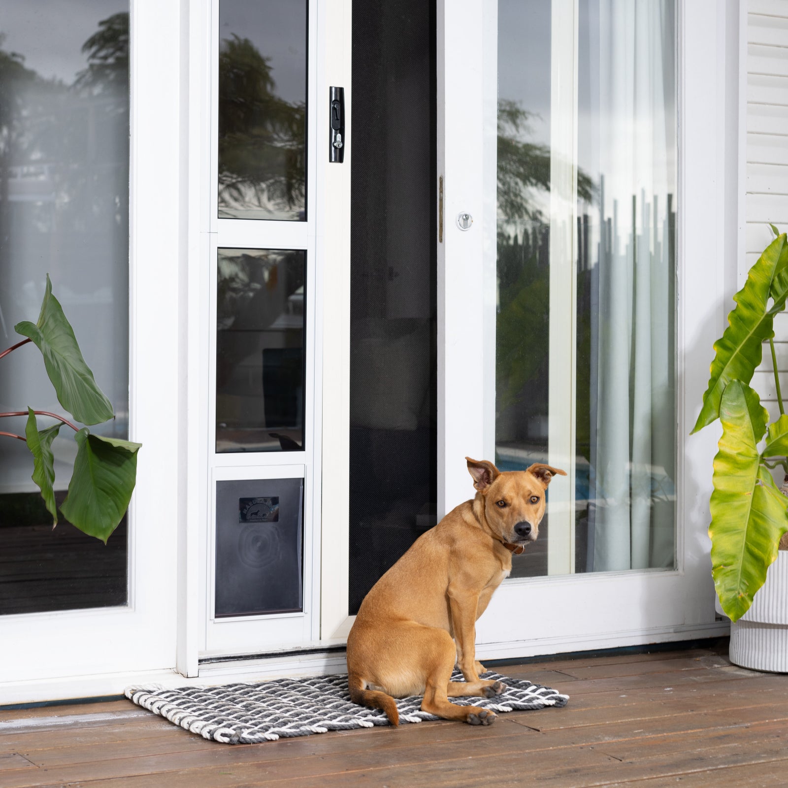 Screen Door With Dog Pet Door For Slider Screen Door With Dog Cat