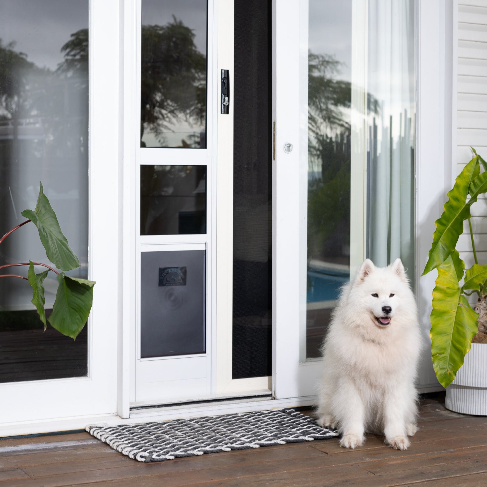 Patio Door Doggy Door In Glass Dog Door On Sliding Door Patio Door