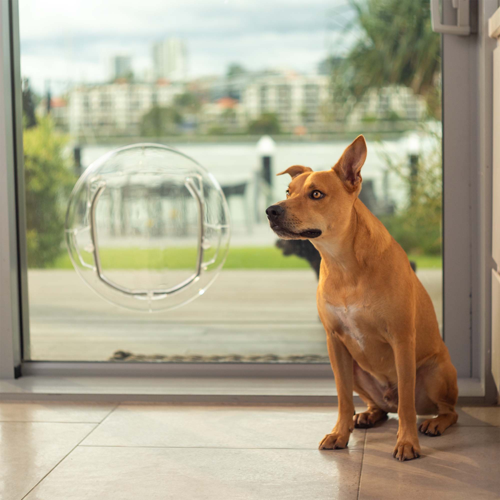 Ultra Clear Pet Door