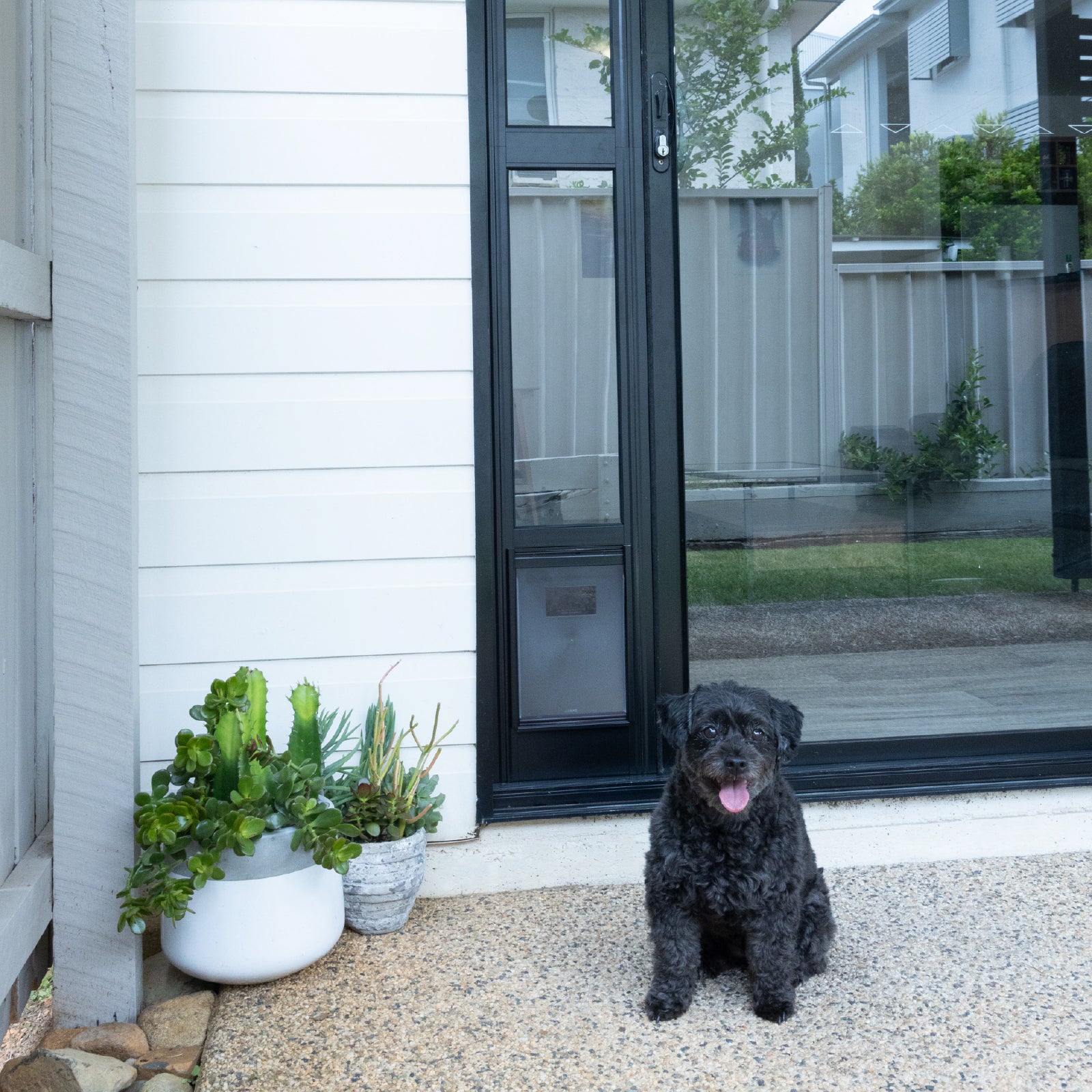 Glass Patio Pet Door