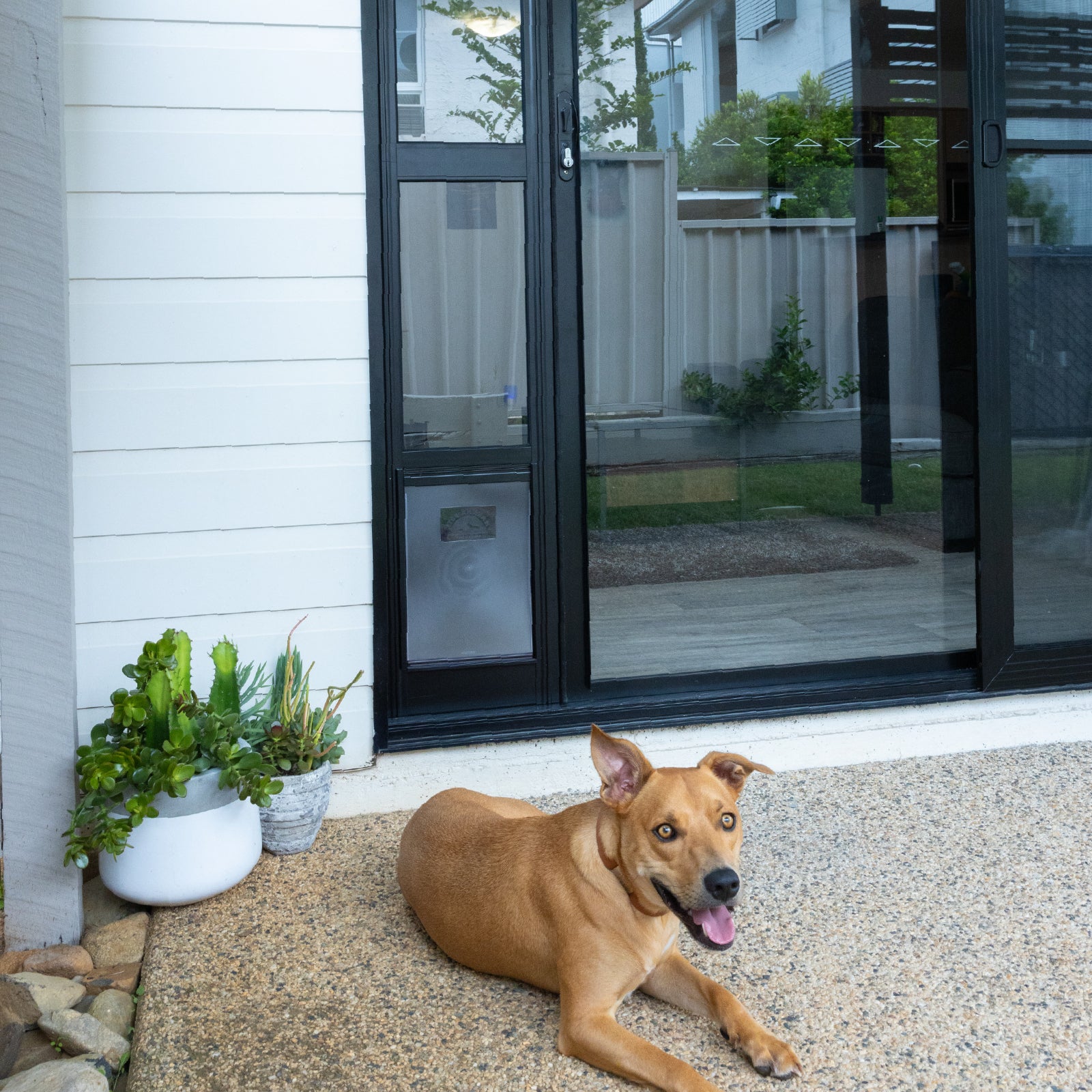 Glass Patio Pet Door