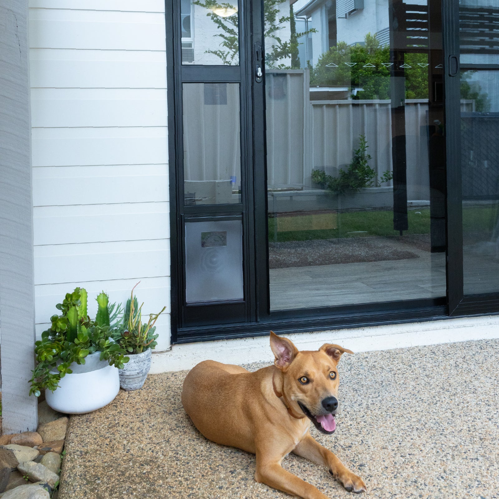Sliding Glass Cat Entry Doors Pet Door For Patio And Sliding Doors