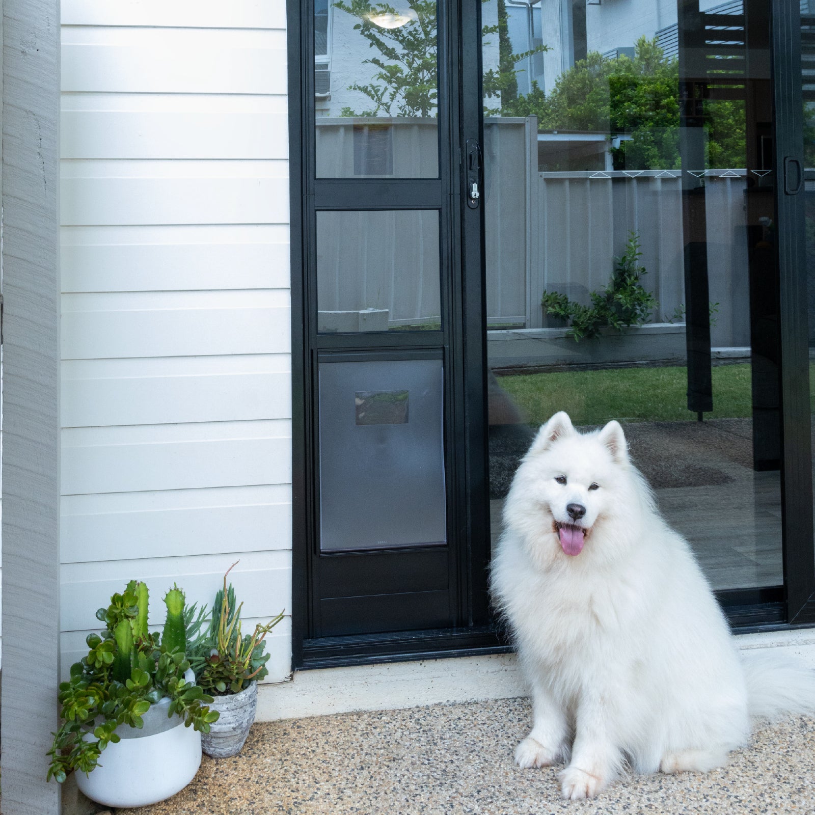 Patio Door Dog Flap Bunnings Patio Pet Door Bunnings China