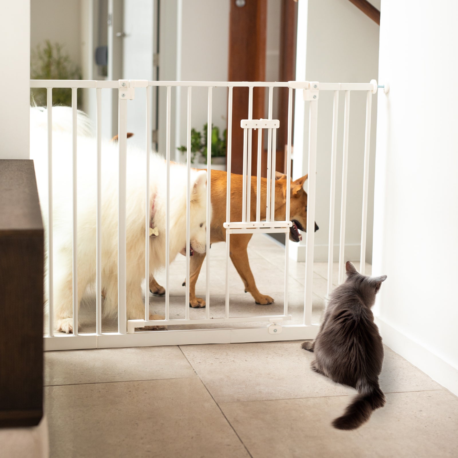 Extra tall and extra wide pet gate best sale