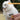 Pet Grooming Brush - Yellow - Hakuna Pets