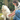 Pet Grooming Brush - Yellow - Hakuna Pets