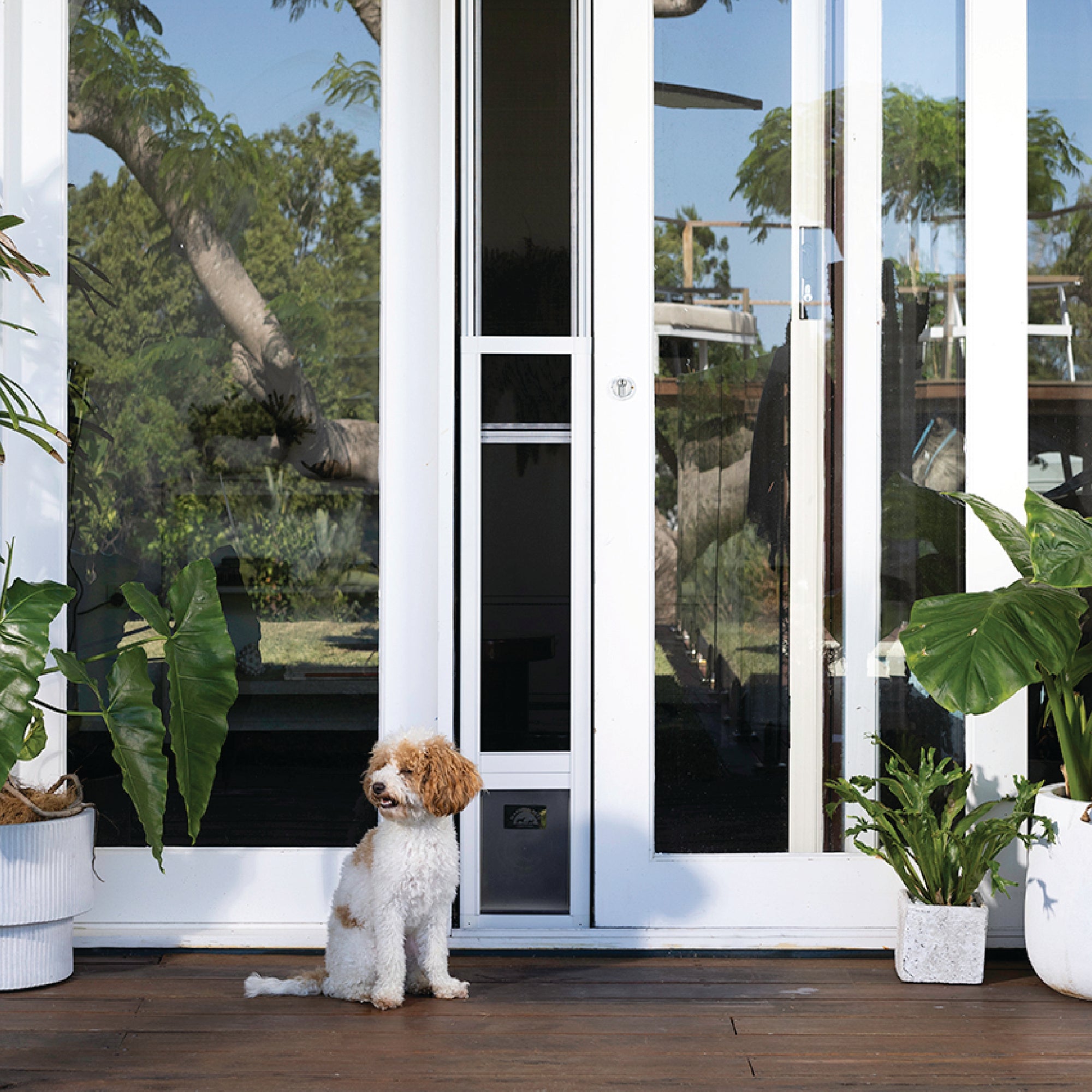 Mesh Patio Pet Door + Clear Weather Resistant Panels - Small