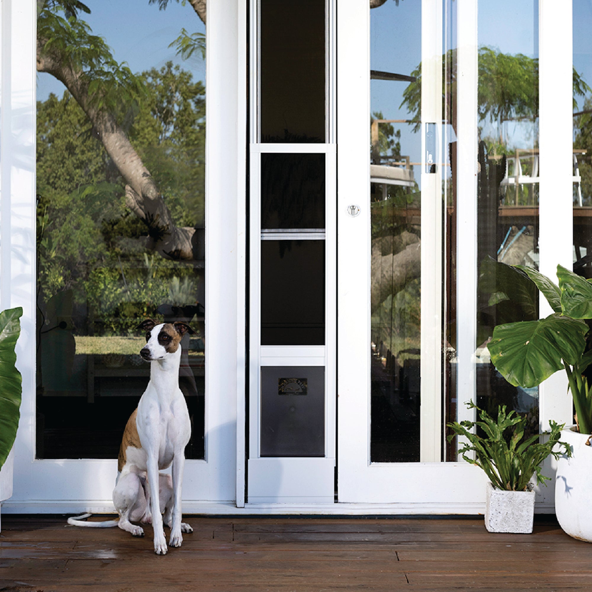 Black Mesh Patio Pet Door