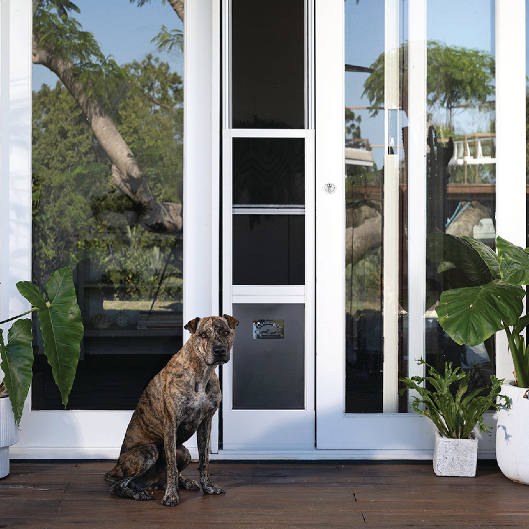 Black Mesh Patio Pet Door