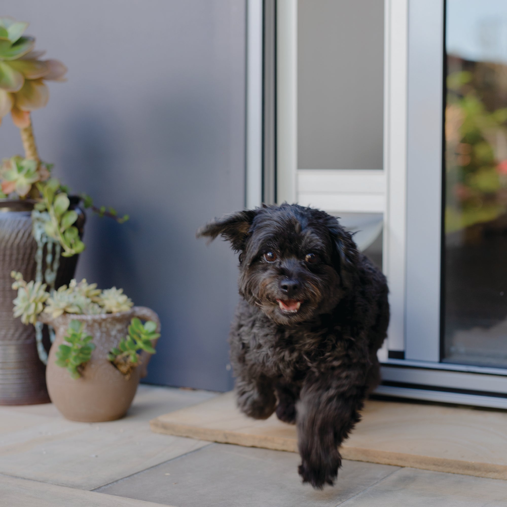 Mesh Patio Pet Door + Clear Weather Resistant Panels - Small