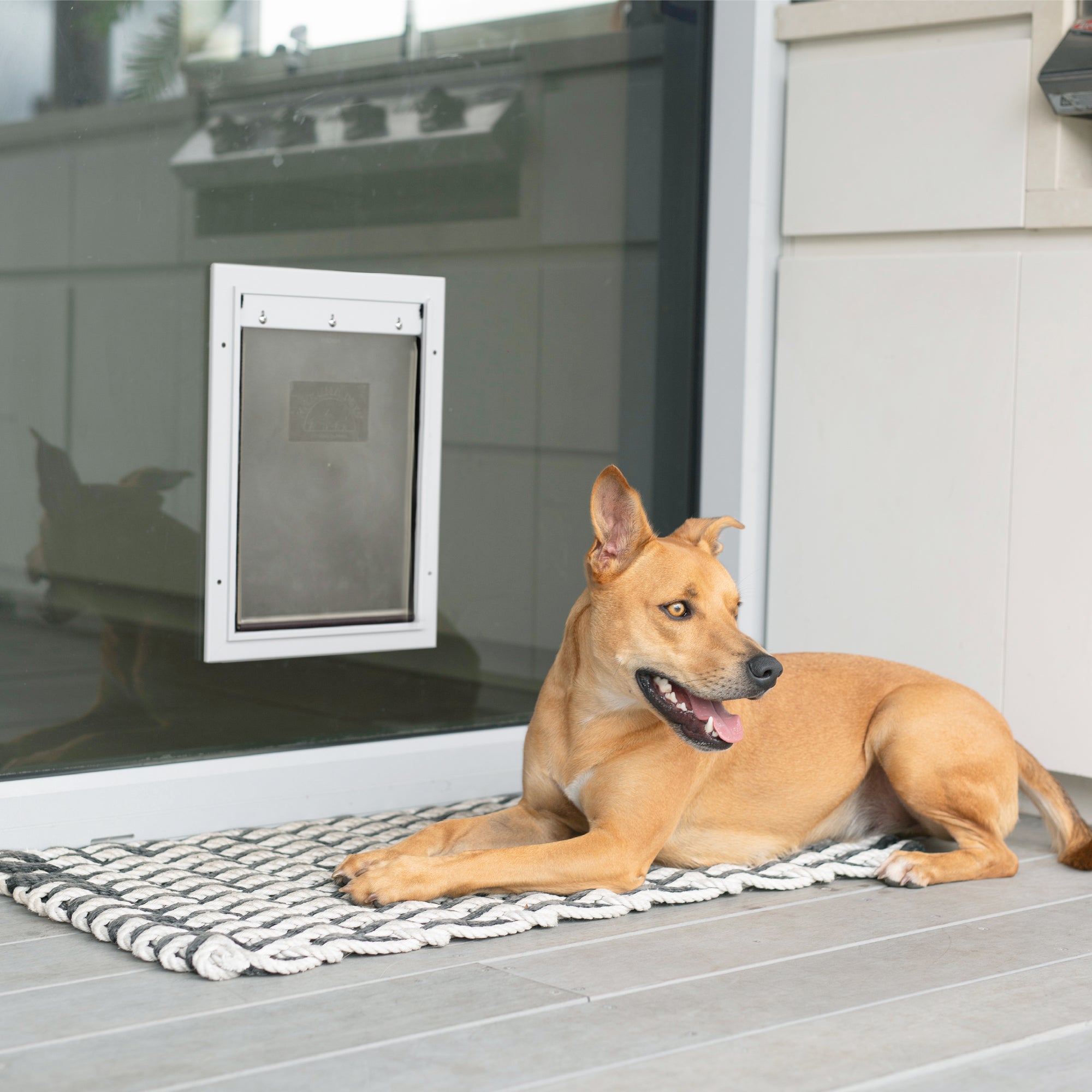 Deluxe Aluminium Pet Door