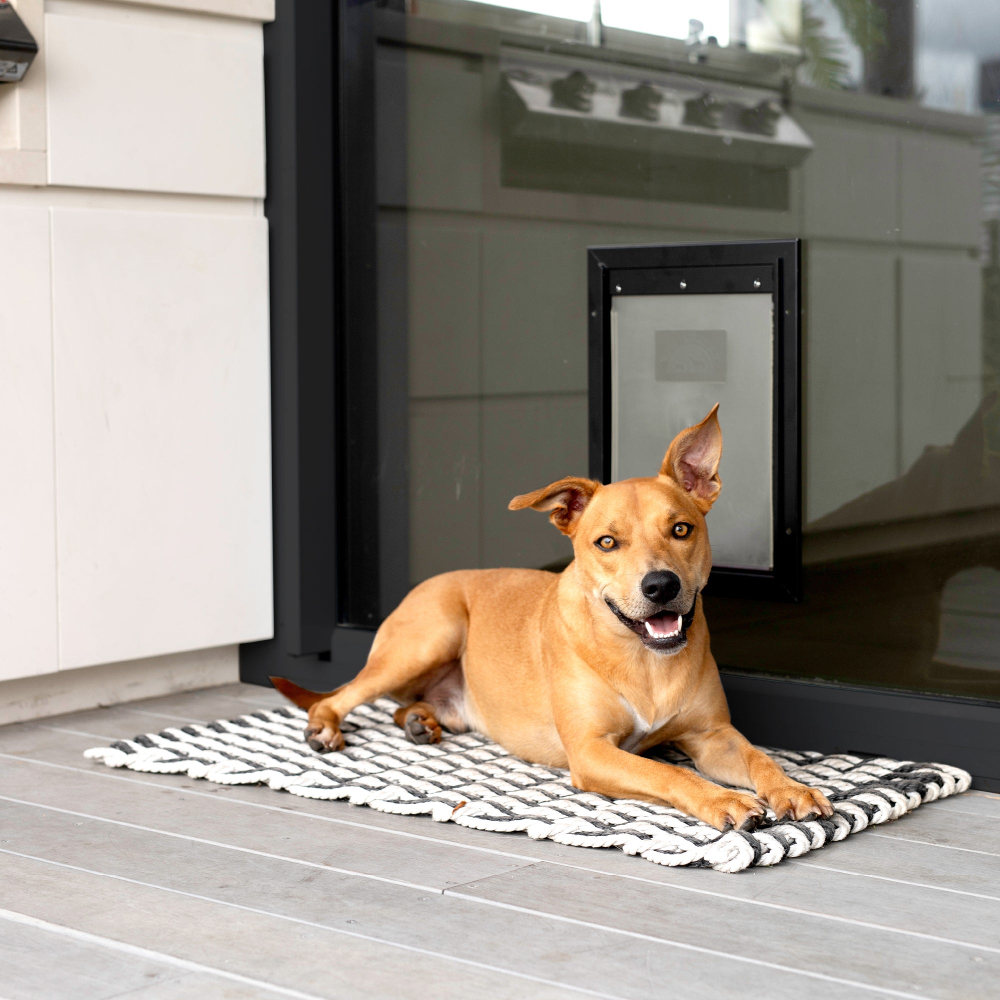 Deluxe Aluminium Pet Door