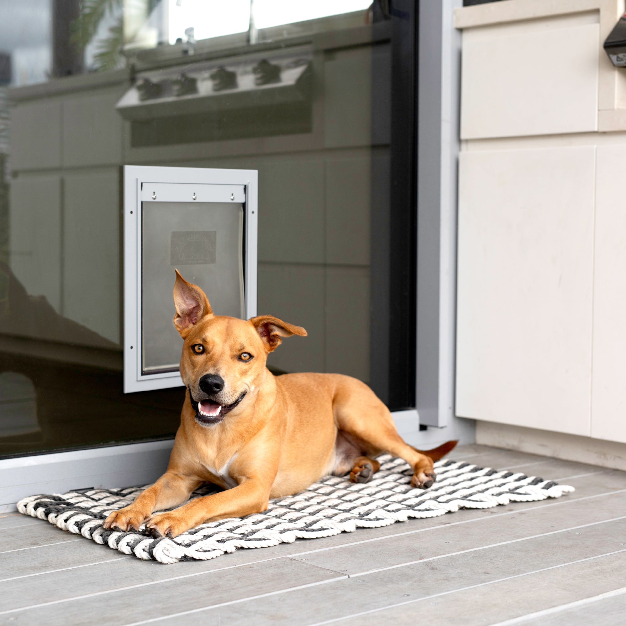 Deluxe Aluminium Pet Door