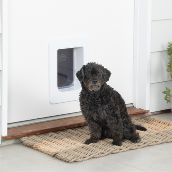 Electronic Pet Door + 2 RFID Tags - S / White - Hakuna Pets